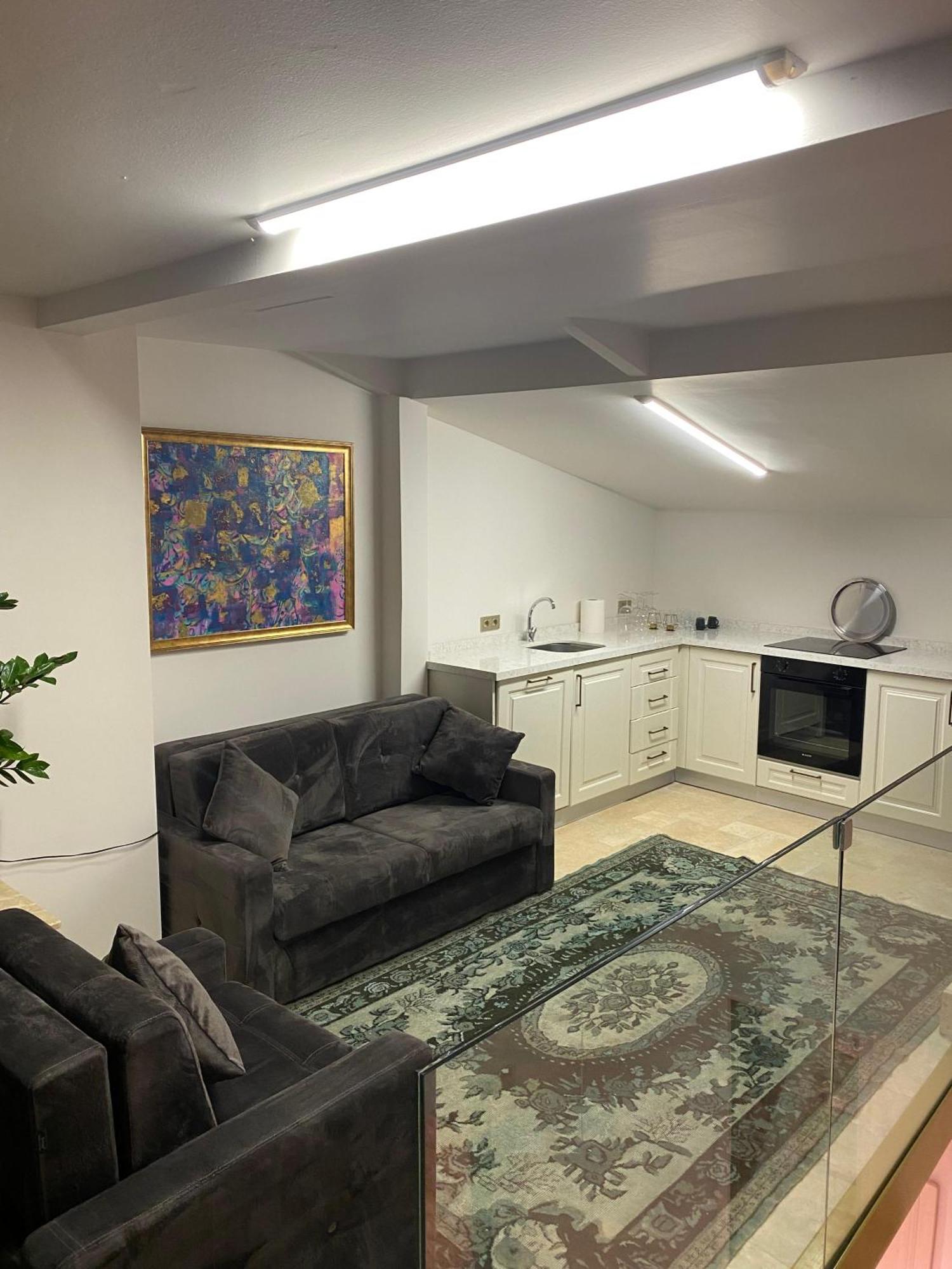 Ab Residences- Private Villa Independent Istanbul Luaran gambar